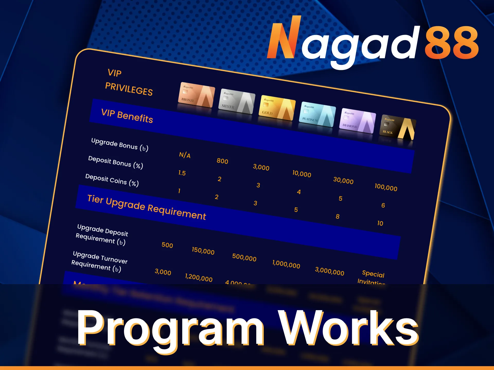 Get to know how the Nagad88 VIP program works.